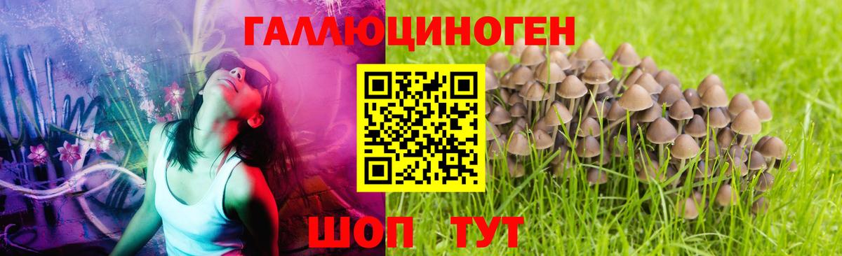 Псилоцибиновые грибы MAGIC MUSHROOMS Октябрьский